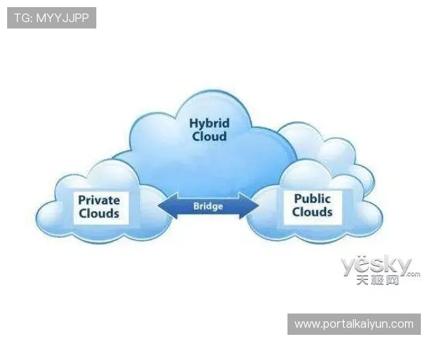 开云官方网站入口快速进入指南，确保用户顺利访问平台的完整操作流程